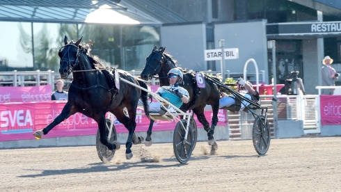 Don Fanucci Zet vann Elitloppet 2021. Foto av TR Bild